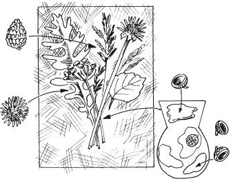 Наталья Дмитриева - Поделки из природных материалов