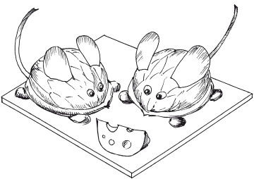 Наталья Дмитриева - Поделки из природных материалов