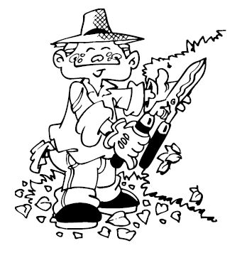 Анна Зорина - Изгороди и заборы своими руками