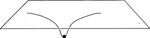 Леонард Сасскинд - Битва при черной дыре. Мое сражение со Стивеном Хокингом за...