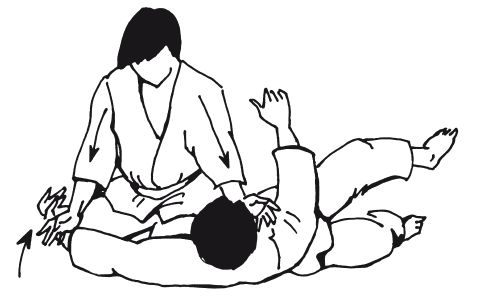 Андрей Григорьев - Боевое айкидо. Философия боя. Система обороны