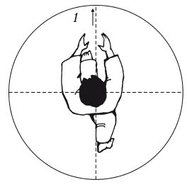 Андрей Григорьев - Боевое айкидо. Философия боя. Система обороны