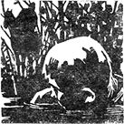 Последнее отступление