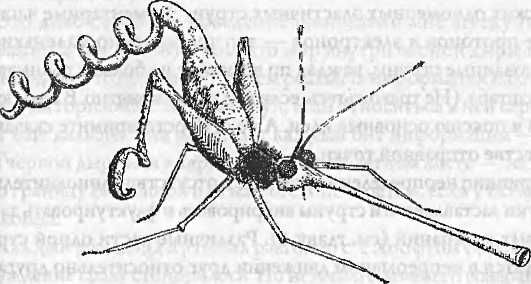 Леонард Сасскинд - Битва при черной дыре. Мое сражение со Стивеном Хокингом за...