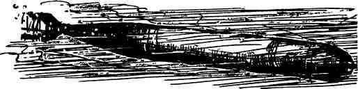 Последняя радиограмма