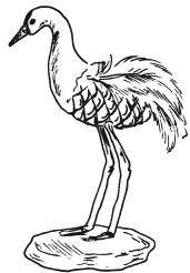 Наталья Дмитриева - Поделки из природных материалов