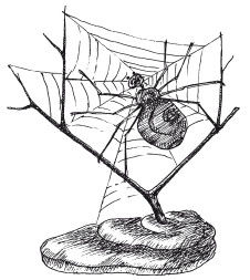 Наталья Дмитриева - Поделки из природных материалов