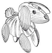 Наталья Дмитриева - Поделки из природных материалов