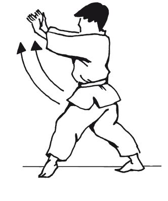 Андрей Григорьев - Боевое айкидо. Философия боя. Система обороны