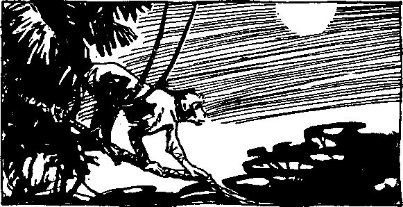 Эльгот Лендж - В джунглях Амазонки