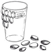 Наталья Дмитриева - Поделки из природных материалов