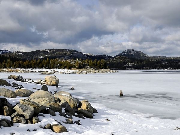 Донна Грант - Полуночный любовник