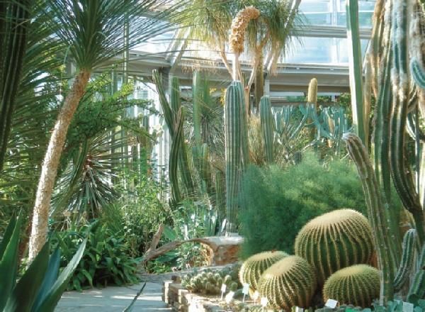 Р. Менх, М. Эккольт и др. - Берлин. Путеводитель