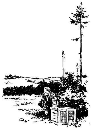 Владимир Немцов - Альтаир