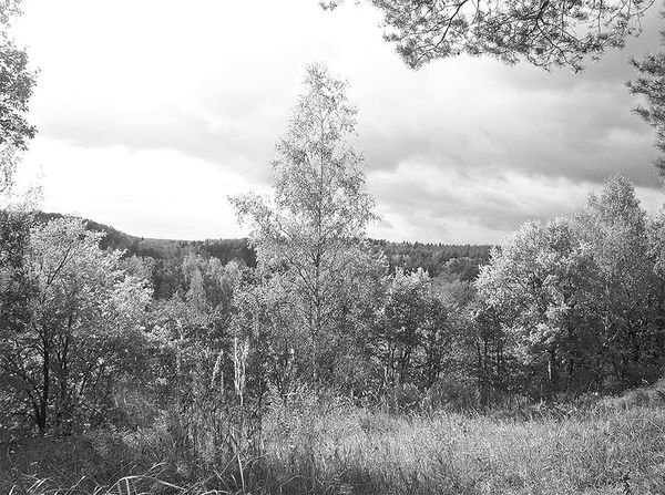 Георгий Блюмин - Рублевка, скрытая от посторонних глаз. История старинной дороги