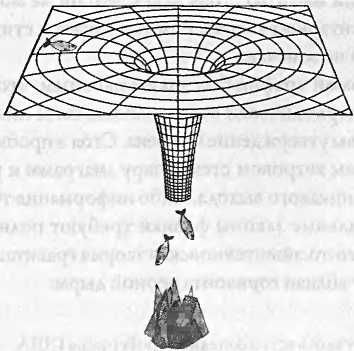 Леонард Сасскинд - Битва при черной дыре. Мое сражение со Стивеном Хокингом за...