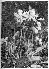 Михаил Величко - Маленькие путешествия вокруг большого города