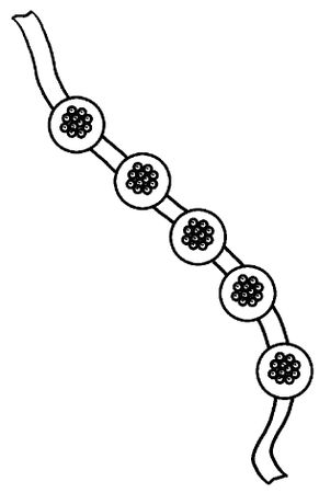 Светлана Хворостухина - Стильная бижутерия своими руками. Бусы, браслеты,...