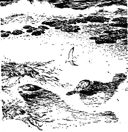 Роберт Мак-Кланг - Исчезающие животные Америки