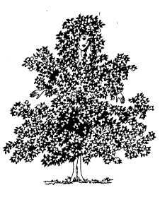 Ольга Веселовская - А свадьба пела и плясала...