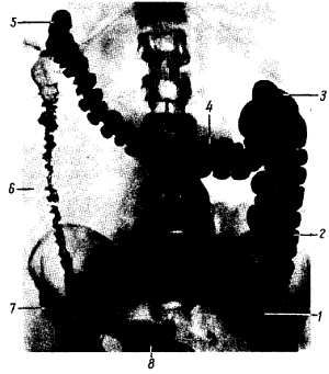 Михаил Привес, Николай Лысенков и др. - Анатомия человека