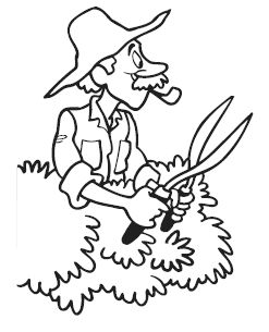 Анна Зорина - Изгороди и заборы своими руками