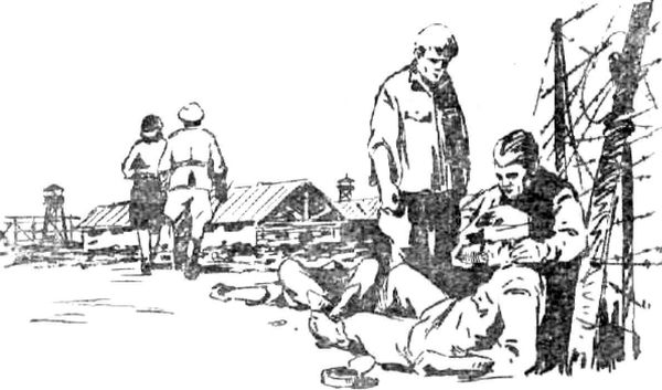 Николай Струтинский - Дорогой бессмертия