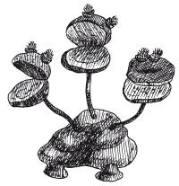 Наталья Дмитриева - Поделки из природных материалов