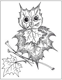 Наталья Дмитриева - Поделки из природных материалов