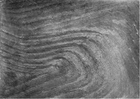 Михаил Ямпольский - Пригов. Очерки художественного номинализма