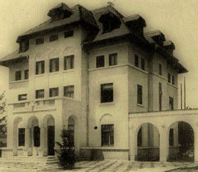 Корнелиу - Железная гвардия