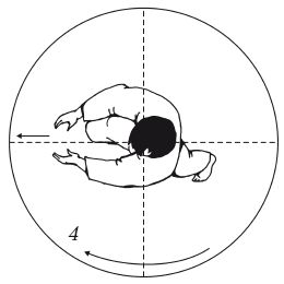 Андрей Григорьев - Боевое айкидо. Философия боя. Система обороны