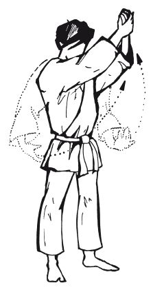 Андрей Григорьев - Боевое айкидо. Философия боя. Система обороны