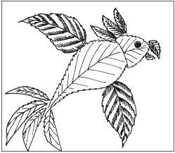 Наталья Дмитриева - Поделки из природных материалов