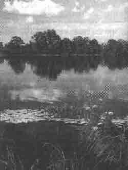 Эрнст Мулдашев - Трагическое послание древних