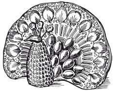 Наталья Дмитриева - Поделки из природных материалов