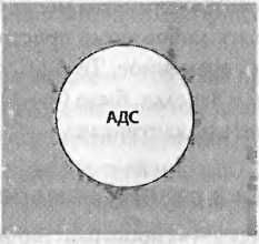 Леонард Сасскинд - Битва при черной дыре. Мое сражение со Стивеном Хокингом за...