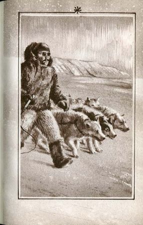 Луи Буссенар - Французы на Северном полюсе