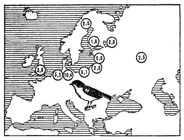 Леонид Соколов - Почему перелетные птицы возвращаются домой