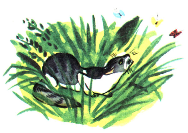 Юрий Куклачев - Мои друзья - кошки