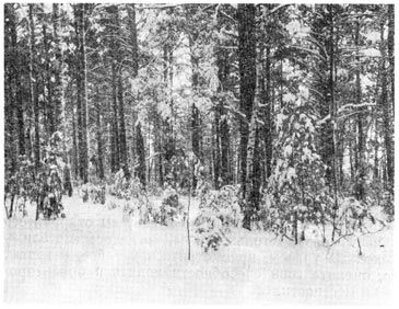 Михаил Величко - Маленькие путешествия вокруг большого города