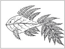 Наталья Дмитриева - Поделки из природных материалов