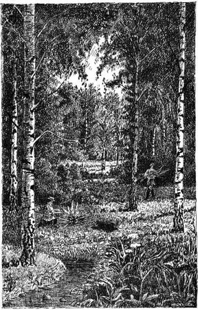 Сергей Минцлов - Клад