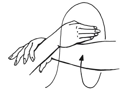 Андрей Григорьев - Боевое айкидо. Философия боя. Система обороны