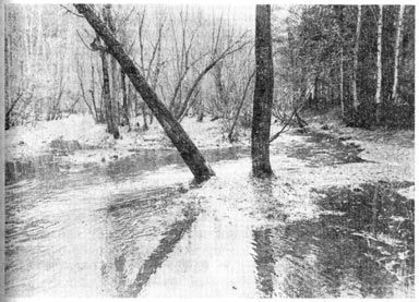 Михаил Величко - Маленькие путешествия вокруг большого города