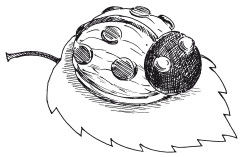 Наталья Дмитриева - Поделки из природных материалов