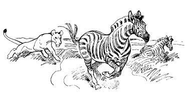 Бернгард Гржимек - Среди животных Африки