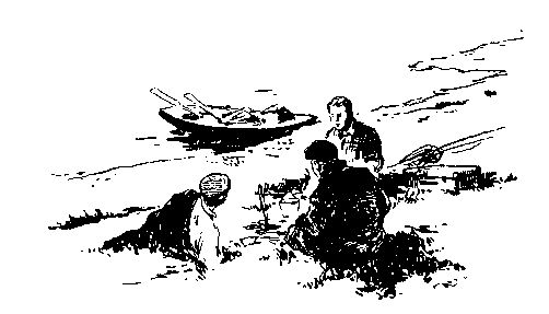 Владимир Немцов - Альтаир