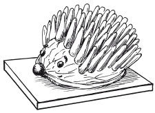 Наталья Дмитриева - Поделки из природных материалов