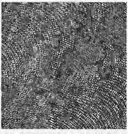 Леонард Сасскинд - Битва при черной дыре. Мое сражение со Стивеном Хокингом за...